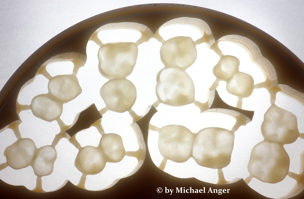 NEWS Seite 19 DENTALLIGENT Blog